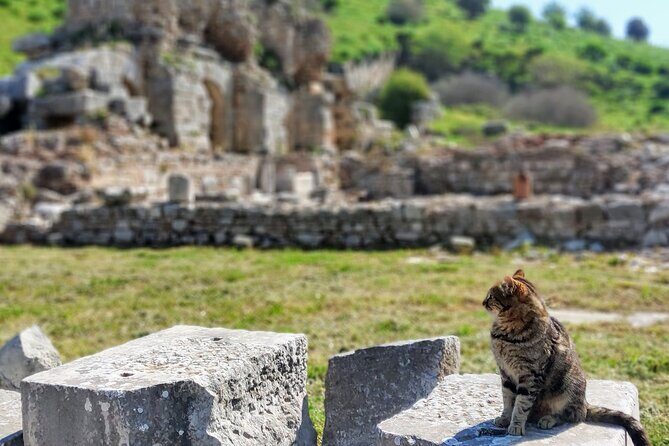 All Inclusive Private Half-Day Ephesus and Sirince Village Tour with Lunch - Traditional lunch in Sirince: what you’re actually getting