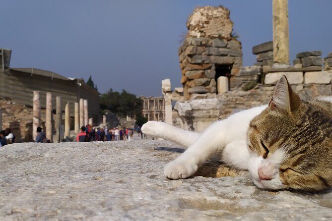 Best of Ephesus Tour From Kusadasi: Temple of Artemis, St John Basilica, Isa Bey Mosque - Lunch in Turkey: buffet lunch, vegetarian option, and what not to expect