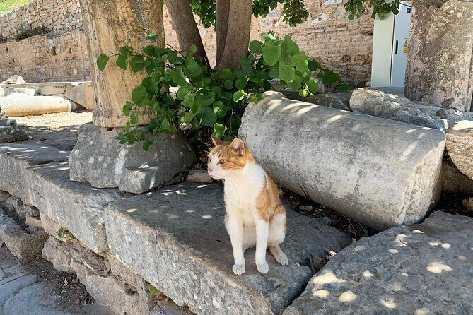 Customize Your Ephesus Trip With Your Guide & Vehicle - The vehicle setup matters more than you think