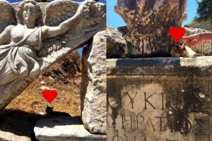 Customized Private Ephesus Tour & Farm Lunch - Ephesus Ancient City: Finding the Big Ideas in a Massive Site