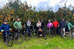 Cycling Through Vineyards & Farm Lunch & Ephesus visit - From Kuşadası to Ephesus: The Guided Walk Starts at the Upper Gate