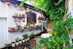 Ephesus Exclusive Tour - Kusadasi Private Shore Excursion - Price and Entrance Fees: What You’ll Really Budget