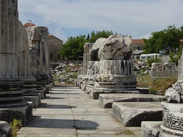 Ephesus, Priene, Miletos and Didyma Tour - The guide, the pace, and why it matters more than you think