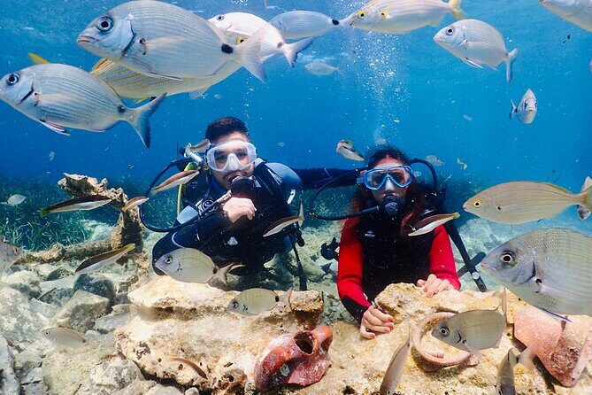 Guided Scuba Diving Experience in Kusadasi - Quick Highlights
