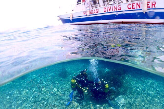 Guided Scuba Diving Experience in Kusadasi - Why This Intro Scuba Session Fits First-Timers