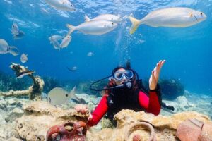 Guided Scuba Diving Experience in Kusadasi - Kusadasi Morning Logistics: Pickup and Getting to the Boat