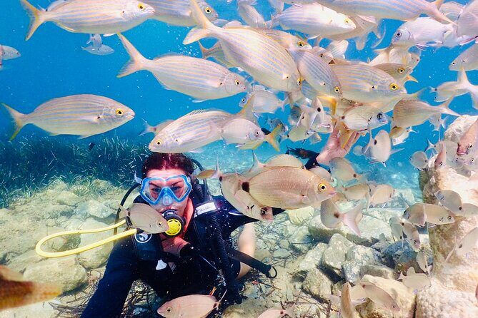 Guided Scuba Diving Experience in Kusadasi - Lunch and the Real Meaning of the $79 Price