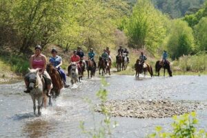 Horse Riding From Kusadasi Port / Hotels - Pamucak Beach: why this stop works