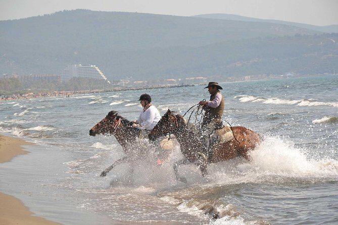 Horse Riding From Kusadasi Port / Hotels - What the ride feels like before the beach
