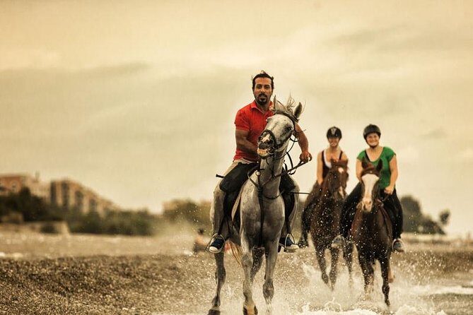 Horse Riding From Kusadasi Port / Hotels - The sea moment: fun for many, but clarify expectations