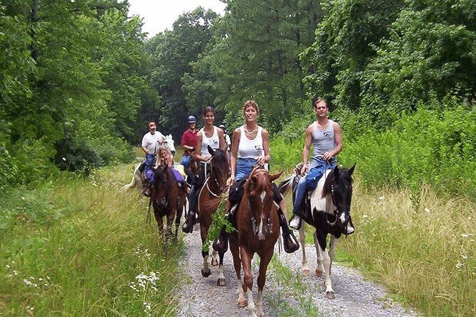 Horse Riding From Kusadasi Port / Hotels - The guide and safety: small details that matter