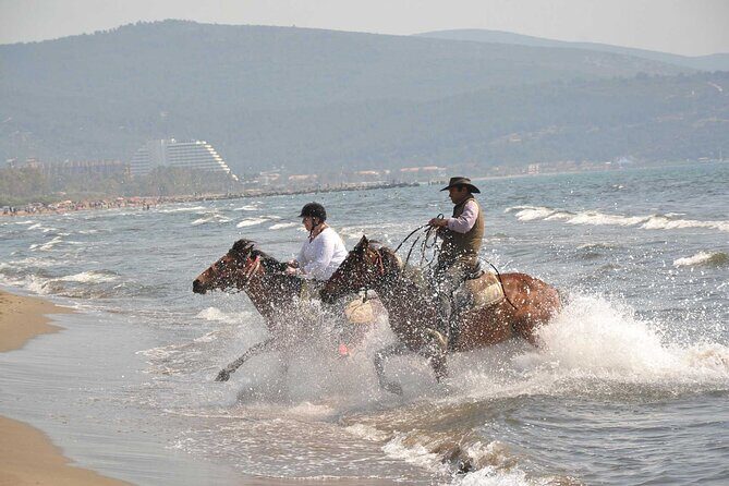 Horseback Riding From Kusadasi Port For Cruise Guests - Key Things I’d Watch for Before You Book