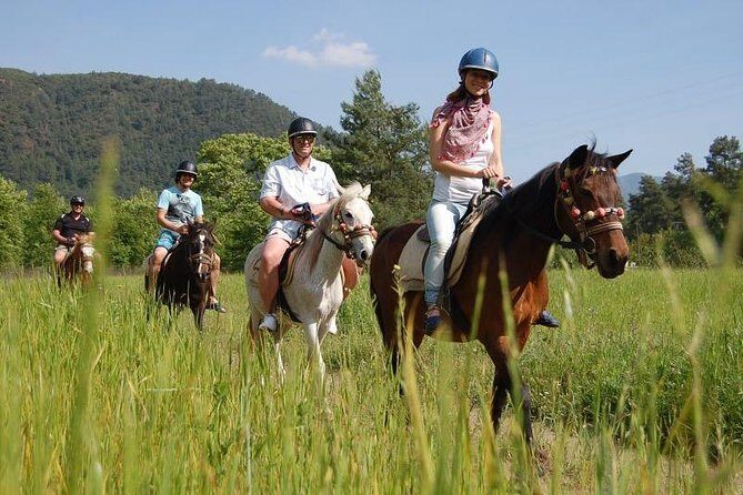 Horseback Riding From Kusadasi Port For Cruise Guests - Kusadası Port Horse Safari: The Value of a Cruise-Day Format