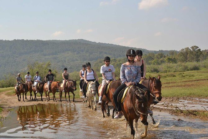 Horseback Riding From Kusadasi Port For Cruise Guests - Price Reality Check: Is $88.92 Worth It?