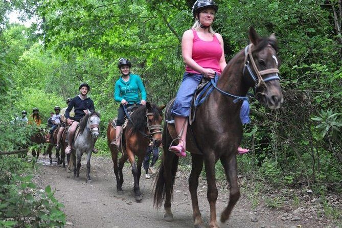 Horseback Riding From Kusadasi Port For Cruise Guests - Horse Size and Mounting: A Practical Check for Adult Riders and Kids