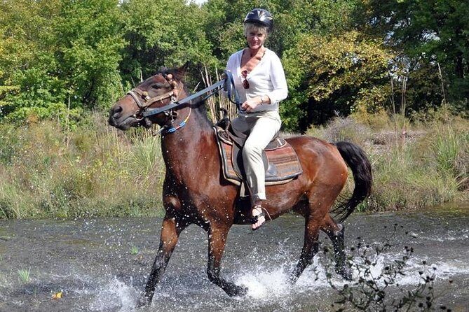 Horseback Riding From Kusadasi Port For Cruise Guests - Small Group Riding and Real Safety Support