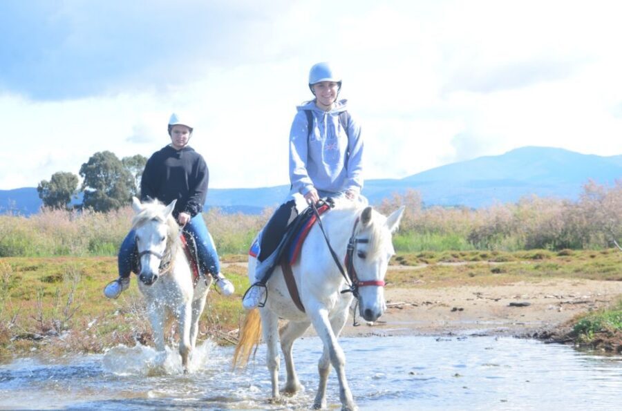Kusadasi: Beach and Forest Horse Riding Tour - Key Takeaways Before You Go