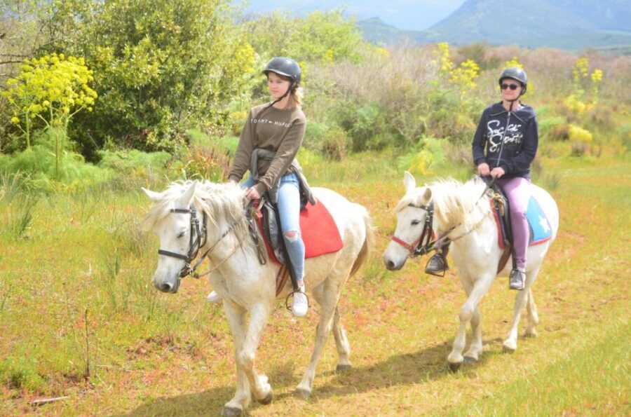 Kusadasi: Beach and Forest Horse Riding Tour - From Kusadasi to the Safari Park: How the Timing Really Works