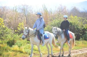 Kusadasi: Beach and Forest Horse Riding Tour - The Warm-Up Moment: What the First-Time Instruction Feels Like
