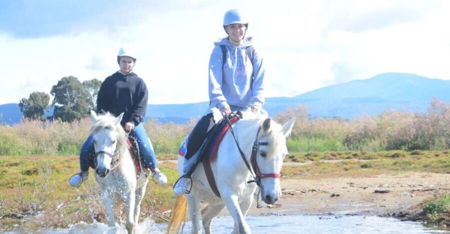Kusadasi: Beach and Forest Horse Riding Tour - Pine-Forest Trail Riding: Shady Tracks and Real Countryside