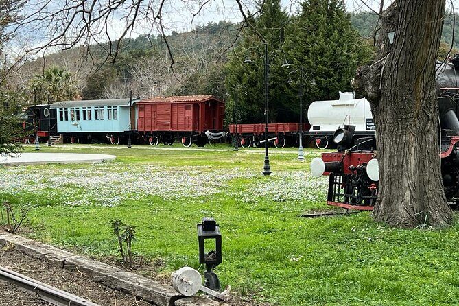 Kusadasi Day Trips Magnesia, Train Museum Turkish Bath - Anadolu Rug workshop and the kebab lunch that resets the day