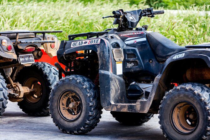 Kusadasi Half Day Quad Safari Experience With Free Hotel Transfer - From pine forest to the coast: why the route feels different