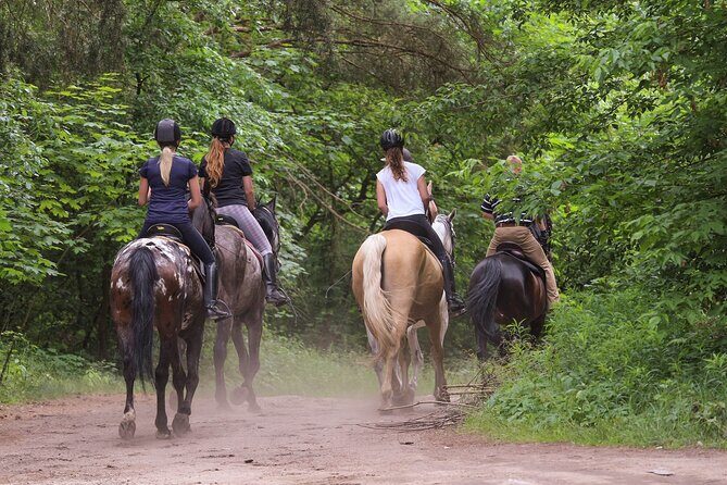 Kusadasi Horse Riding Beach and Forest options with Transfer - Key things to know before you go