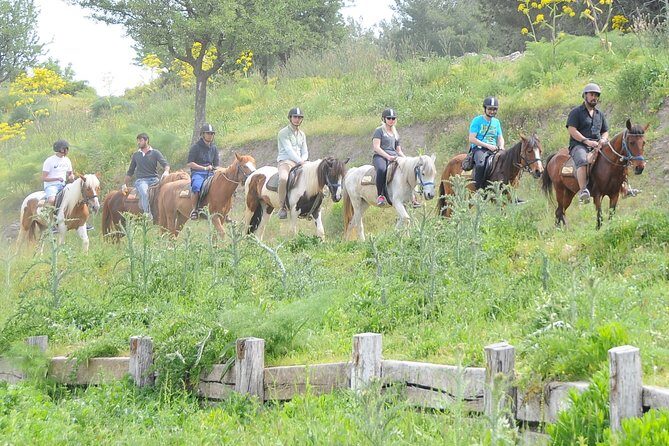 Kusadasi Horse Riding Beach and Forest options with Transfer - From Hotel Pickup to the Pine-Forest Stables
