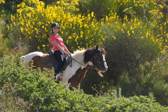Kusadasi Horse Riding Beach and Forest options with Transfer - The Horses and Guides: Trained Team Energy