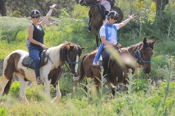 Kusadasi Horse Riding Beach and Forest options with Transfer - Timing, Route Options, and What “2 Hours” Means in Real Life