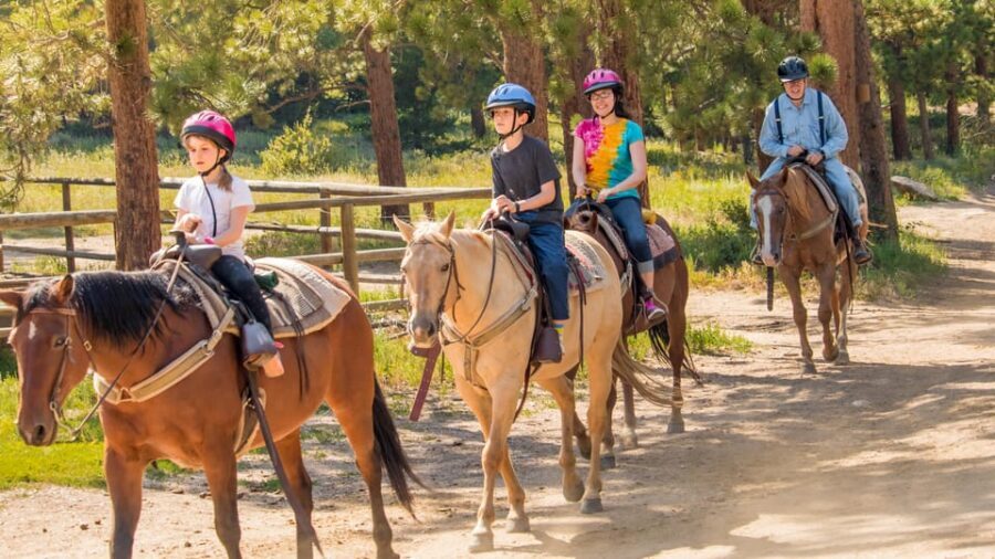 Kusadasi: Horse Riding Beach and Forest w/Transfer - Key Things to Know Before You Ride
