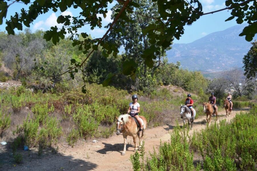Kusadasi: Horse Riding Beach and Forest w/Transfer - Pine Forests and Orange Groves: The Safari Route