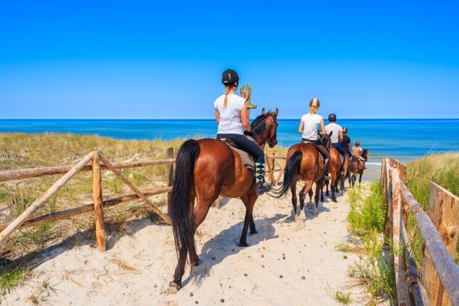 Kusadasi: Horse Riding Beach and Forest w/Transfer - Price and Value: What You’re Paying For