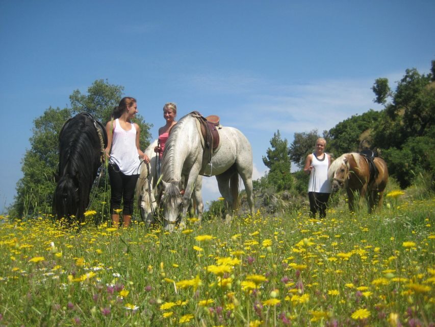 Kusadasi: Horse Riding Beach and Forest w/Transfer - Should You Book This Horse Riding Beach and Forest Tour?