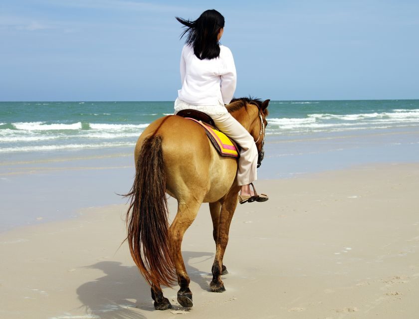 Kusadasi: Horse Riding Beach and Forest w/Transfer - Getting Comfortable on Gentle Horses