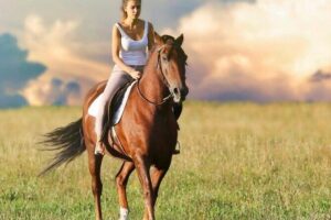 Kusadasi Horse Riding On Beach And Through The River - Pickup, Timing, and Where to Meet (So You Don’t Waste Your Morning)