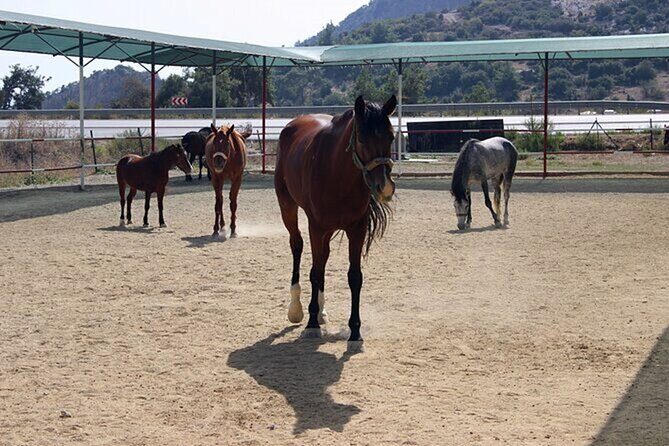 Kusadasi Horse Riding On Beach And Through The River - What to Wear and Bring: Small Choices That Make a Big Difference