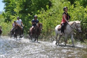 Kusadasi Horseback Riding - Hotel pickup in Kusadasi: Smooth when it lines up