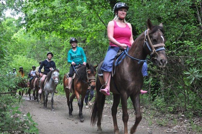 Kusadasi Horseback Riding - From bushes to the beach: What you do during the ride