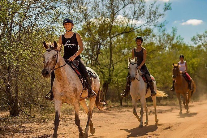 Kusadasi Horseback Riding - Safety basics and horse care: what you should watch