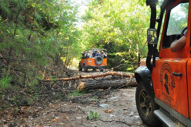 Kusadasi Jeep Safari Adventure w/LUNCH from Kusadasi Hotels&PORT - Lunch in the Forest: Included, but Keep Expectations Real