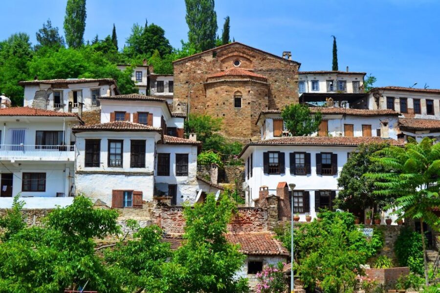 Kusadasi or Selcuk: Full-Day Ephesus Tour with Lunch - Who should book this Ephesus + Sirince day
