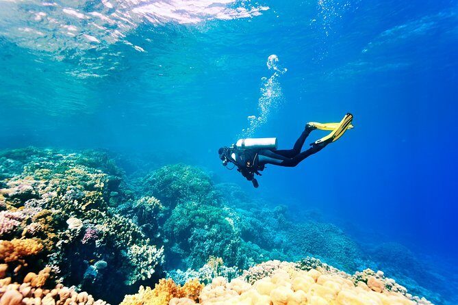 Kusadasi Scuba Diving Experience w/Instructor incl. Transfer - Key Highlights You’ll Care About