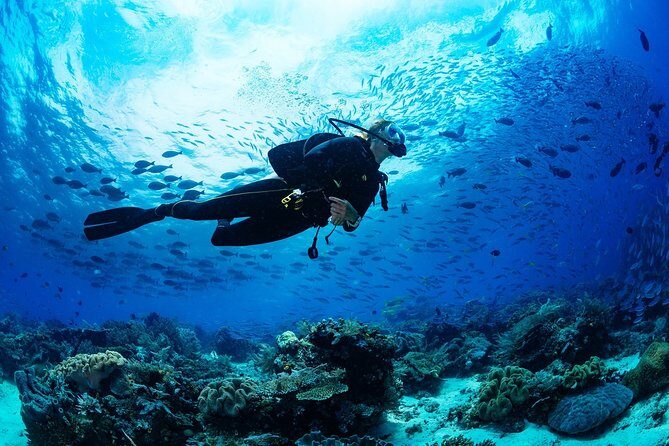 Kusadasi Scuba Diving Experience w/Instructor incl. Transfer - 4 Hours Starting at 9:30 AM: How the Day Flows