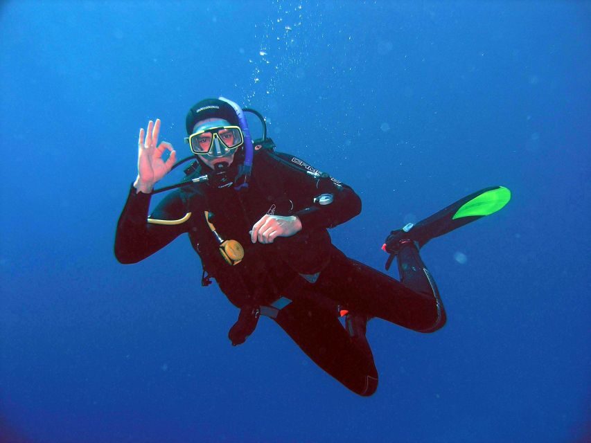 Kusadasi: Scuba Diving for Beginner or Experienced w/ Lunch - Key Things You’ll Notice on This Kusadasi Underwater Day