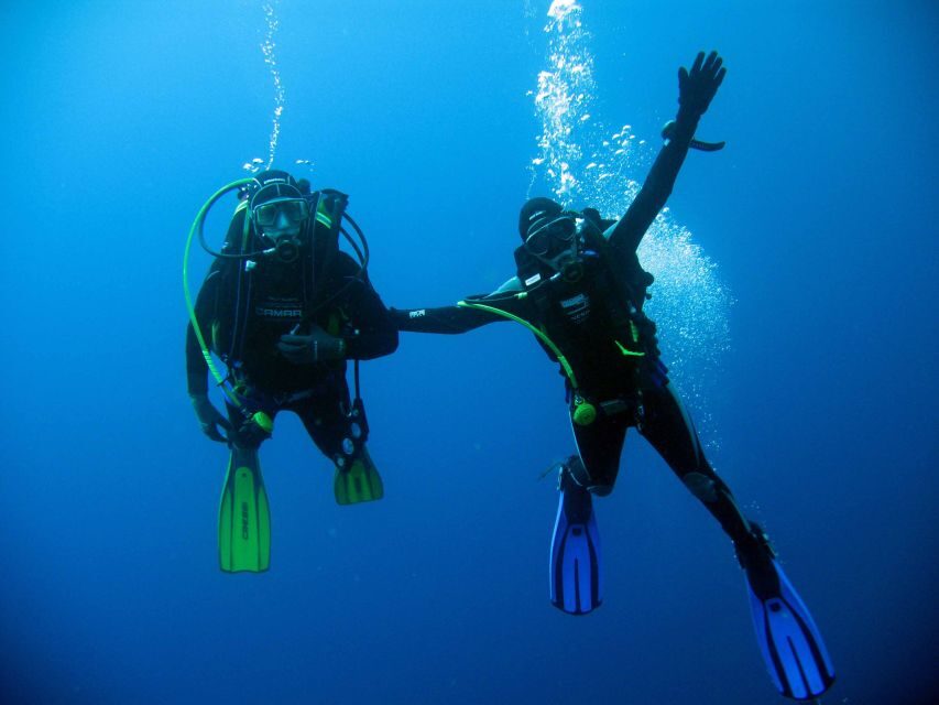 Kusadasi: Scuba Diving for Beginner or Experienced w/ Lunch - Why This Kusadasi Underwater Session Works for Newbies