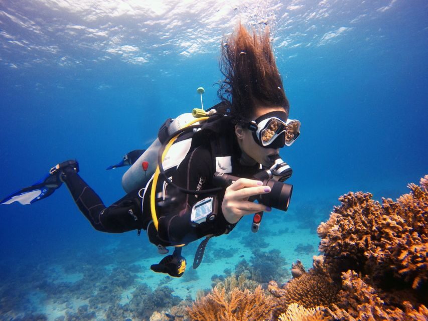 Kusadasi: Scuba Diving for Beginner or Experienced w/ Lunch - Going Underwater in the Aegean: Safety, Control, and About 25 Minutes