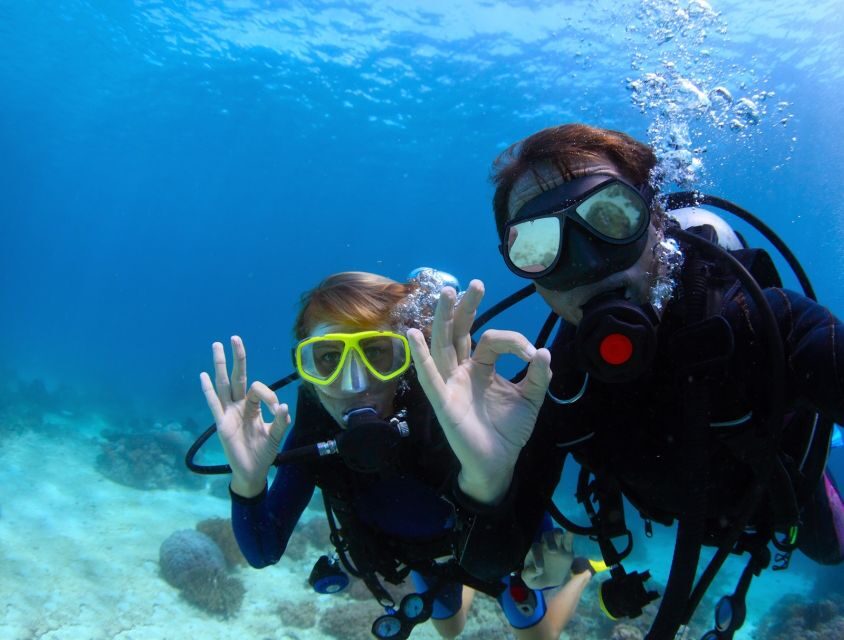 Kusadasi: Scuba Diving for Beginners w/Lunch & Transfer - Getting From Your Kusadasi Hotel to the Harbor