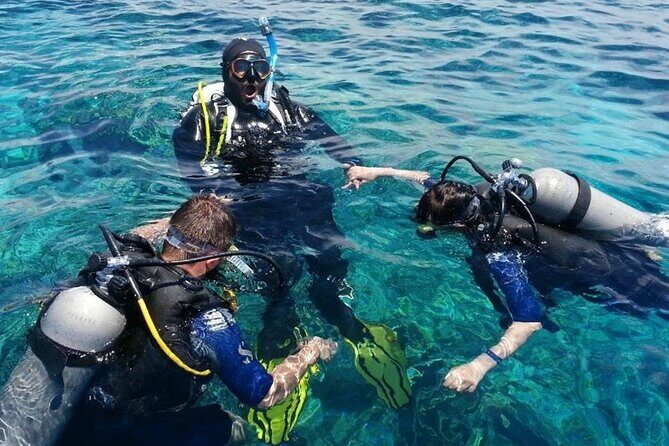 Kusadasi Scuba Diving Tour By Local Experts - Getting There: 8:30 AM Start, Hotel Pickup, and the Main Gate Rule