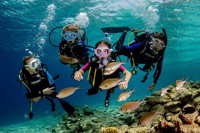 Kusadasi Scuba Diving Tour By Local Experts - Equipment and Instruction: How You Learn It Without Feeling Panicked
